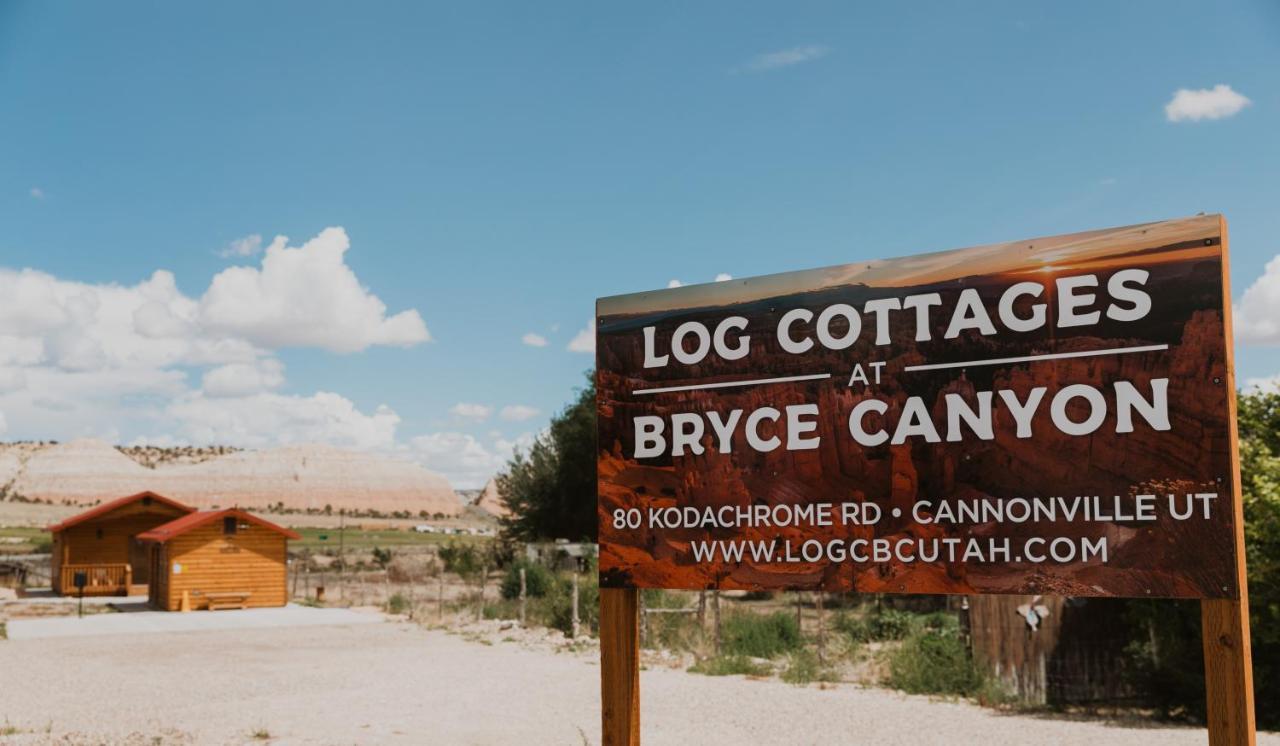 Log At Bryce Canyon #2 *