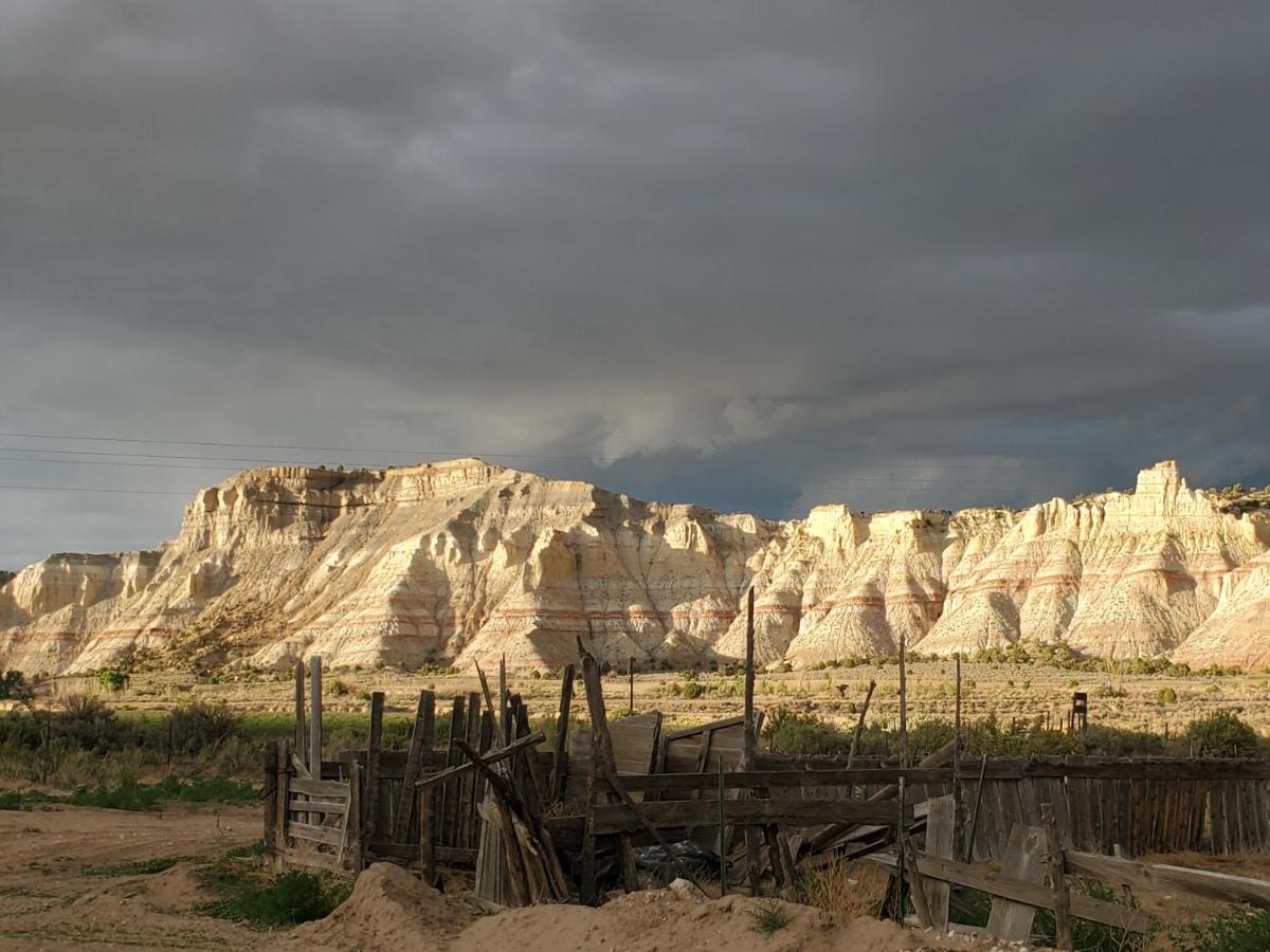 Log At Bryce Canyon #2